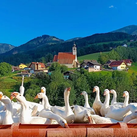 Hofquartier Retzmoar - Familie Hoermann