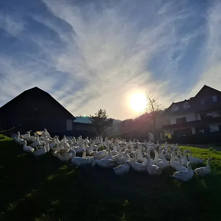 Hofquartier Retzmoar - Familie Hoermann *