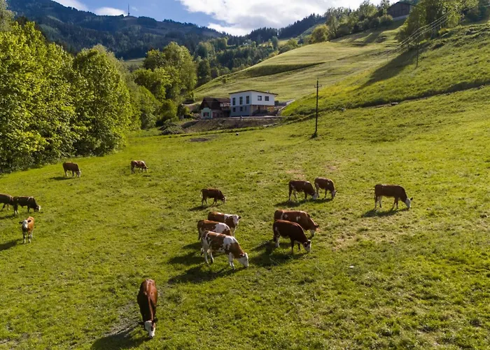 Hofquartier Retzmoar - Familie Hoermann