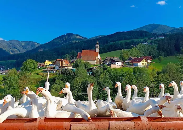 Hofquartier Retzmoar - Familie Hoermann