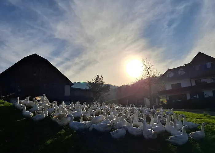 Hofquartier Retzmoar - Familie Hoermann *